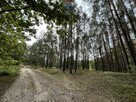 Działka siedliskowa - 10