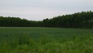 Działka rolno-budowlana Byków gm. Długołęka - 2