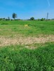 SPRZEDAM DZIALKI BODOWLANE OKOLICE RAJGRODU. - 1