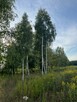 Duża działka z warunkami zabudowy na 5 domów w otulinie lasó - 8