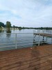 Działki budowlane w otulinie lasów przy drodze asfaltowej - 13