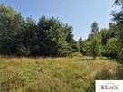 Działka rolna Oleśnica gm. Wodynie - 1