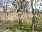 Działka rolna Skierniewice Dębowa Góra - 2