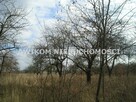 Działka rolna Skierniewice Dębowa Góra - 6