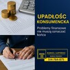 Oddłużanie| Upadłość konsumencka | Rozwody | Alimenty - 4