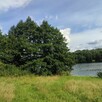 Działka na sprzedaż, gmina Małdyty, Smolno - 3