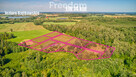 Duże działki 14 km od Ełku - 2