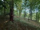 Działka w Bieszczadach z potencjałem turystycznym! - 5