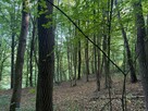 Działka w Bieszczadach z potencjałem turystycznym! - 7
