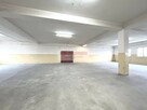 HALA MAGAZYN PRODUKCJA ok 400 m2 RYBITWY - 6