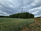 Nieruchomość niezabudowana - Zagaje - 1