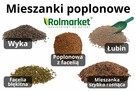 Nasiona Łubin Facelia Gorczyca Wyka Mieszanka poplonowa - 2