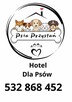 Hotel dla Psów - 2
