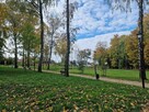 Sprzedam mieszkanie - 11