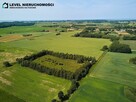 Działka siedliskowa w Pogrodziu - 3