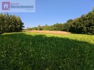 Działka siedliskowa Nowe Dwory gm. Brzeźnica - 3