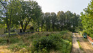Działka inwestycyjna Kamień gm. Szemud, Jaskółcza - 8