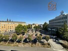 3 pokoje pet-friendly– Traugutta 17b, Śródmieście - 10