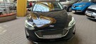 Ford Focus ZOBACZ OPIS !! W PODANEJ CENIE MOŻLIWA ROCZNA GWARANCJA !!! - 2
