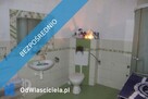 Posesja z warsztatem bezpośrednio granicząca z rzeczką blisko Czech - 10