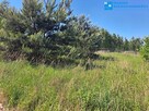 8840 zł taniej ! Kształtna działka budowlana !!! - 1
