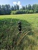 Działka inwestycyjna Borysławice Zamkowe gm. Grzegorzew - 6
