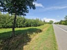 Działka inwestycyjna Borysławice Zamkowe gm. Grzegorzew - 10