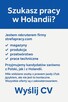 Szukasz pracy na terenie Holandii? Wyślij mi swoje CV! - 2