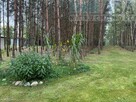 Na sprzedaż urokliwa nieruchomość w lesie - 9