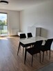 Wynajmę mieszkanie renting an apartment - 7