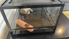 Sprzedam terrarium 40x80x32 - 2