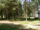 Sprzedam działki rekreacyjno - letniskowe - 5