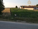 Działka Rusinów Wola Gałecka - 2