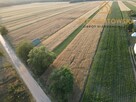 Działka Rusinów Wola Gałecka - 3