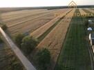 Działka Rusinów Wola Gałecka - 5