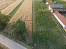 Działka Rusinów Wola Gałecka - 8
