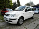 Fiat Panda - 1