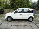 Fiat Panda - 2
