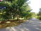 Mieszkanie Kraków, Jerzmanowskiego - 10