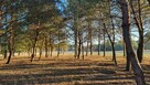 Działki nad rzeką – inwestycja/wypoczynek, Bałtów, Jura Park - 2