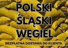 POLSKI WĘGIEL : GROSZEK 5-25, 26-28MJ - Transport Gratis ! - 2