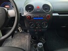 Volkswagen New Beetle - 11