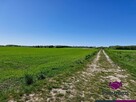 Działka budowlana Koszalin, Julków Jamneńskich - 2