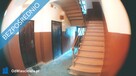 Dwupokojowe mieszkanie parterowe do odnowienia - świetnie skomunikowane - 3