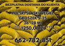 POLSKI WĘGIEL : GROSZEK 5-25, 26-28MJ - Transport Gratis ! - 3