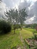 Ogródek dzialkowy - 1