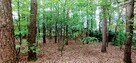 Tania działka budowlana blisko Łodzi i Pabianic - 5