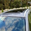 Sprzedam BMW X3 f25 full opcja - 10