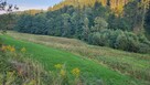 Działka o powierzchni 1,65 ha w miejscowości Lutynia - 11