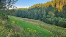 Działka o powierzchni 1,65 ha w miejscowości Lutynia - 5